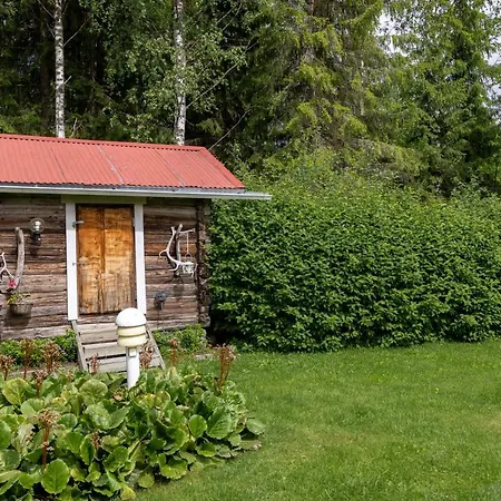 Mummon Moekki - Granny'S Cottage Suonenjoki Exterior photo